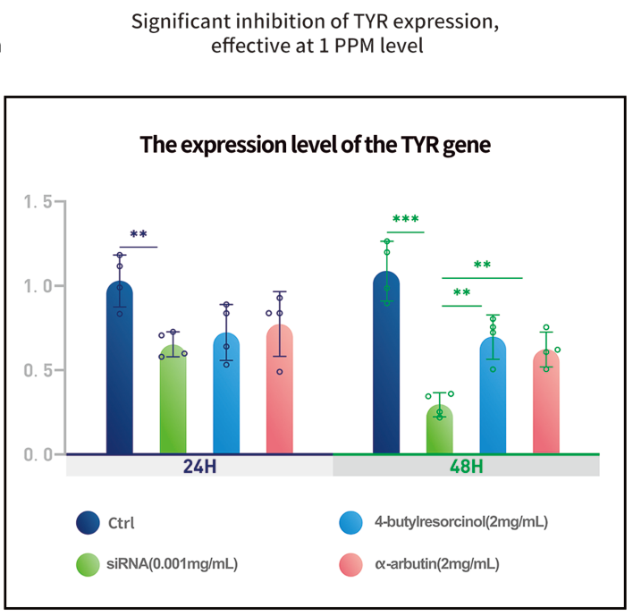 siRNA在保養品中的活性成分 siRNA在保養品中的活性成分