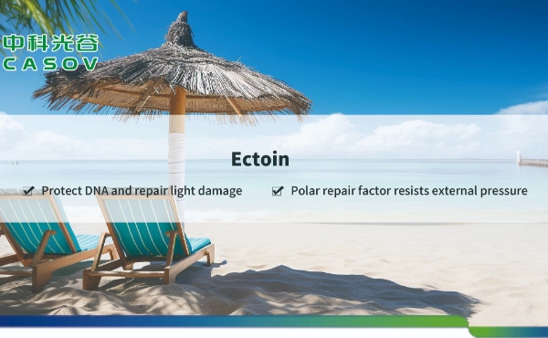 <font dir="auto" style="vertical-align: inherit;"><font dir="auto" style="vertical-align: inherit;">依克多因粉對皮膚的潛力（CAS 編號：96702-03-3）：科學視角