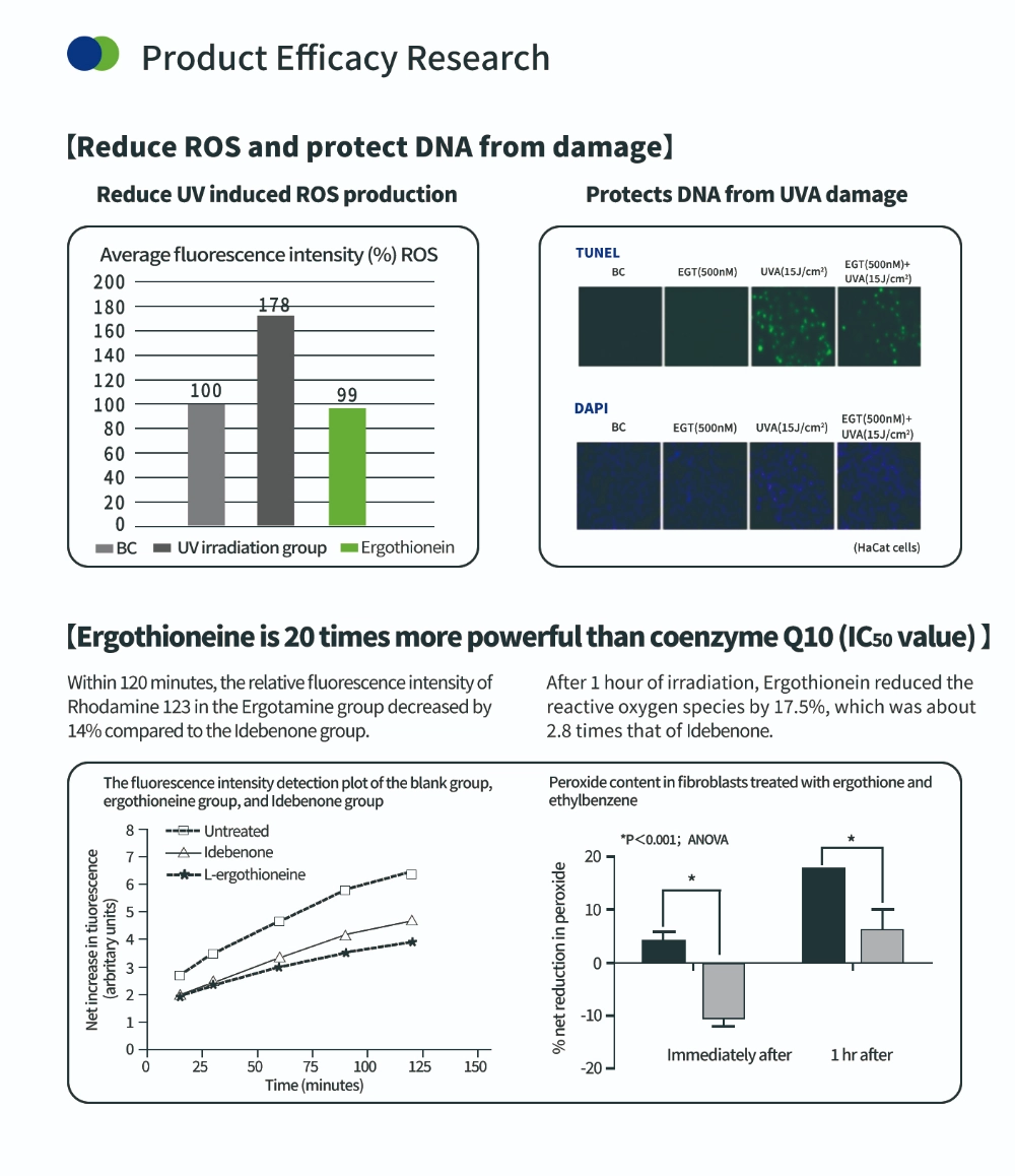 抗氧化化合物麥角硫因 抗氧化化合物麥角硫因