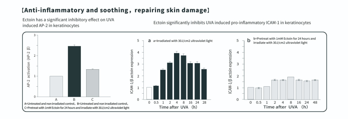 依克多因粉對皮膚的抗發炎功效