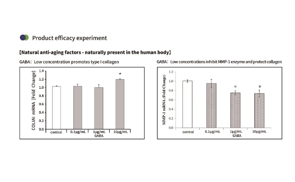 活性 GABA 如何促進膠原蛋白生成並自然修復皮膚？