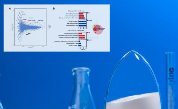 國際著名美容雜誌“ SOFW Journal”：Omics Technology＆N-乙酰神經氨酸 - 解碼年輕皮膚的秘密