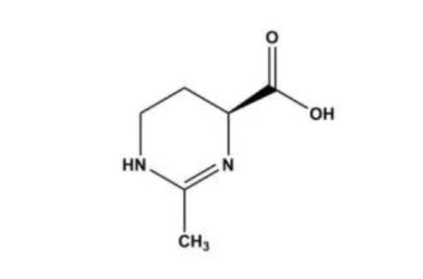 高活性成分Ectoin粉對皮膚的修復作用