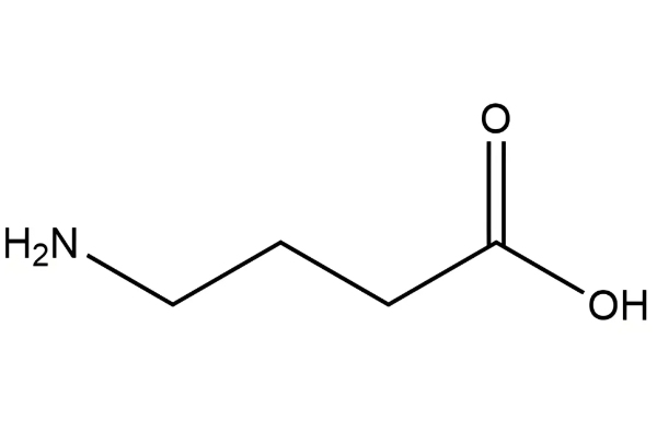 天然活性γ-氨基丁酸對皮膚的抗衰老作用