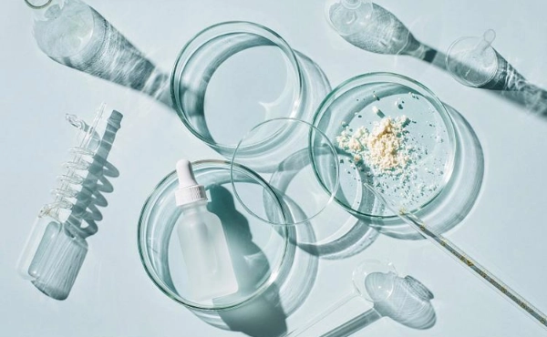 抗氧化化合物麥角硫因的健康益處：CASOV生物活性溶液的科學視角