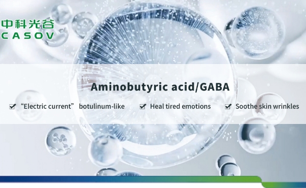 氨基丁酸（GABA）在護膚中的作用：天然抗衰老解決方案